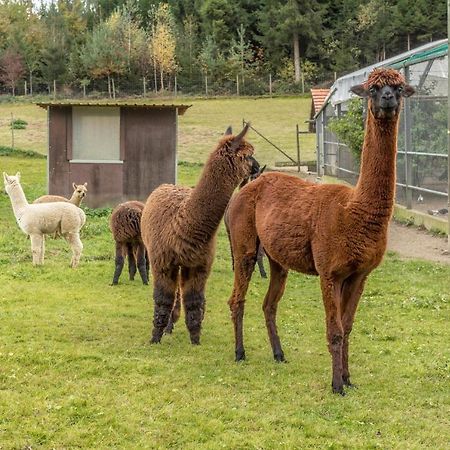 Zapfs Bauernhof Stiefmuetterchen Apartment Tettnang Bagian luar foto