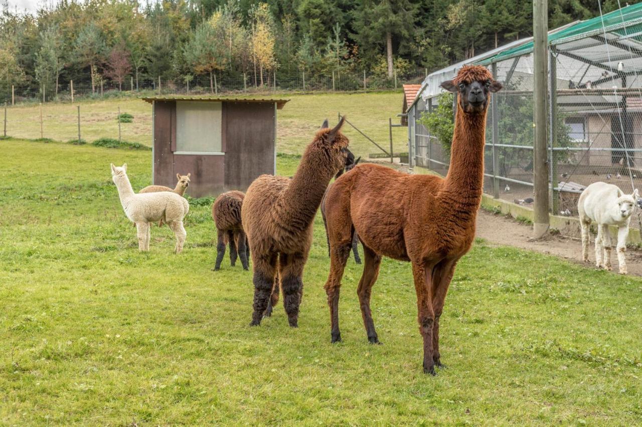 Zapfs Bauernhof Stiefmuetterchen Apartment Tettnang Bagian luar foto